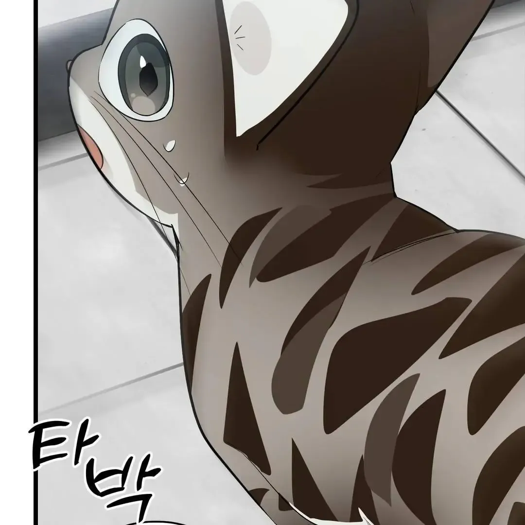 Give Birth To A Baby Wildcat For Me, Unless You Want To See Me Go Insane! - Chapter 3 Page 118