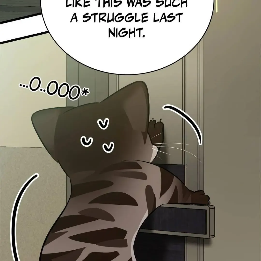 Give Birth To A Baby Wildcat For Me, Unless You Want To See Me Go Insane! - Chapter 3 Page 146