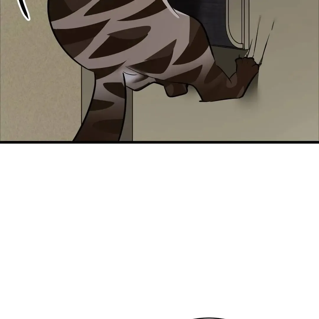 Give Birth To A Baby Wildcat For Me, Unless You Want To See Me Go Insane! - Chapter 3 Page 147