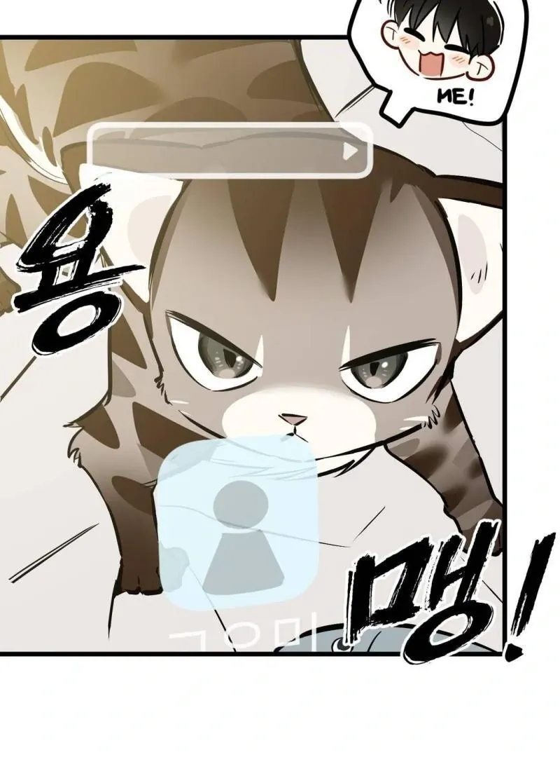 Give Birth To A Baby Wildcat For Me, Unless You Want To See Me Go Insane! - Chapter 4 Page 173