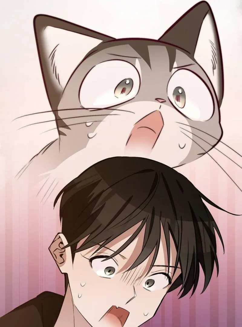 Give Birth To A Baby Wildcat For Me, Unless You Want To See Me Go Insane! - Chapter 4 Page 190