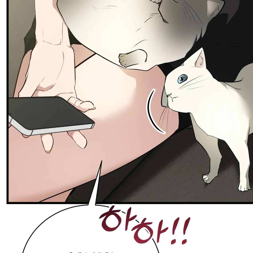 Give Birth To A Baby Wildcat For Me, Unless You Want To See Me Go Insane! - Chapter 5 Page 60