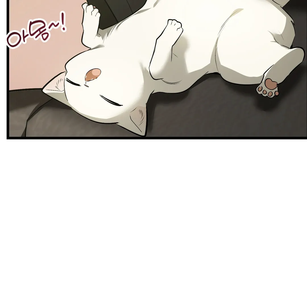 Give Birth To A Baby Wildcat For Me, Unless You Want To See Me Go Insane! - Chapter 5 Page 63
