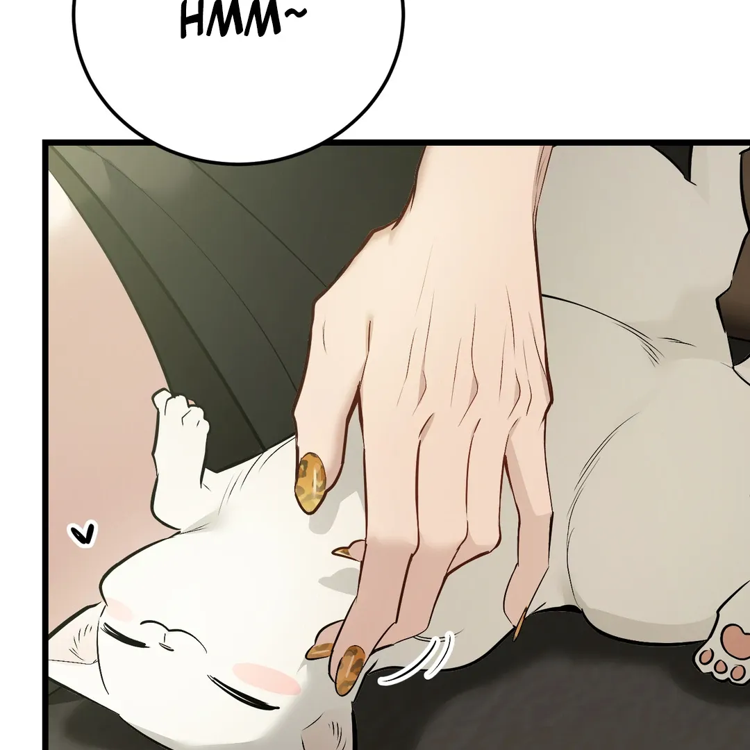 Give Birth To A Baby Wildcat For Me, Unless You Want To See Me Go Insane! - Chapter 5 Page 65