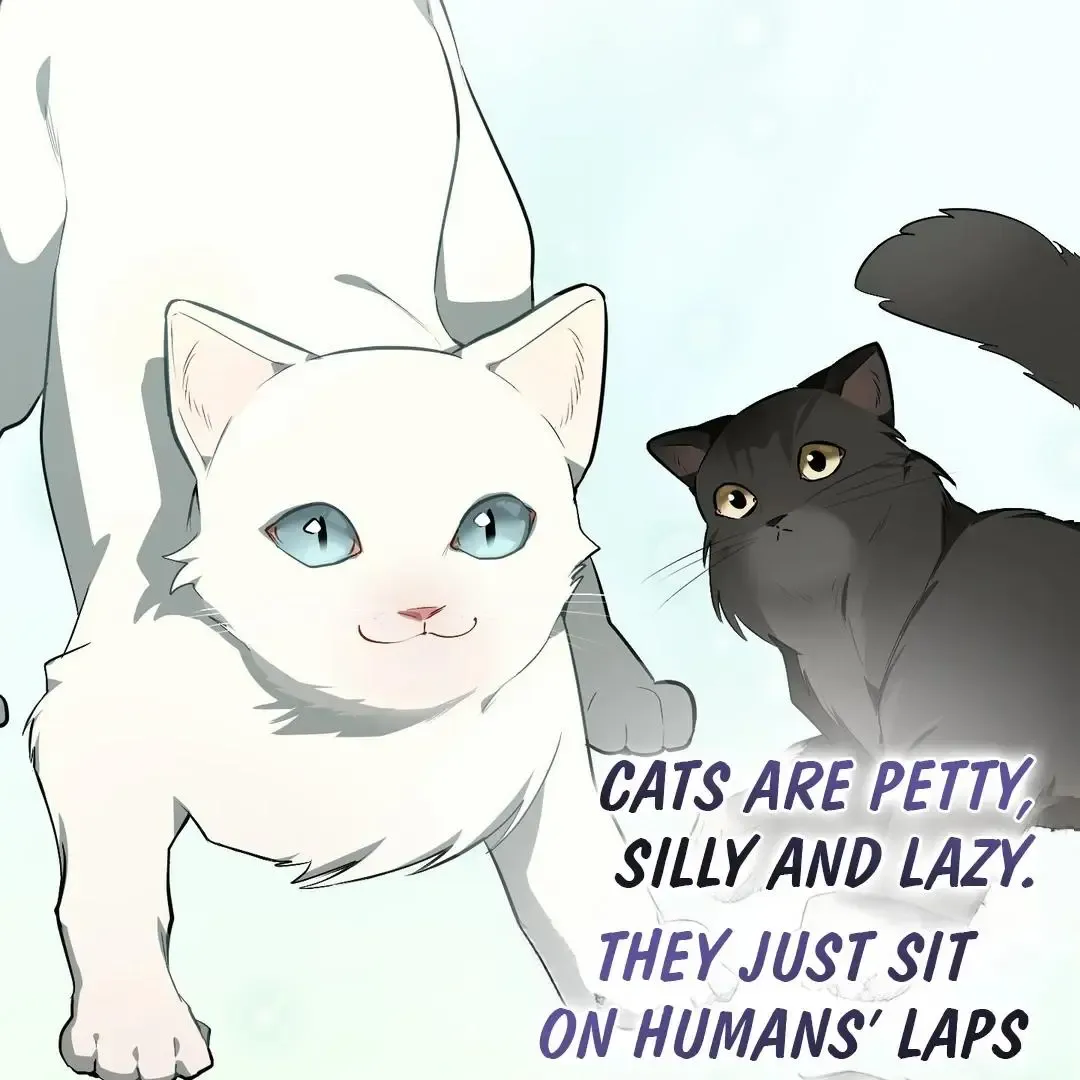 Give Birth To A Baby Wildcat For Me, Unless You Want To See Me Go Insane! - Chapter 6 Page 44