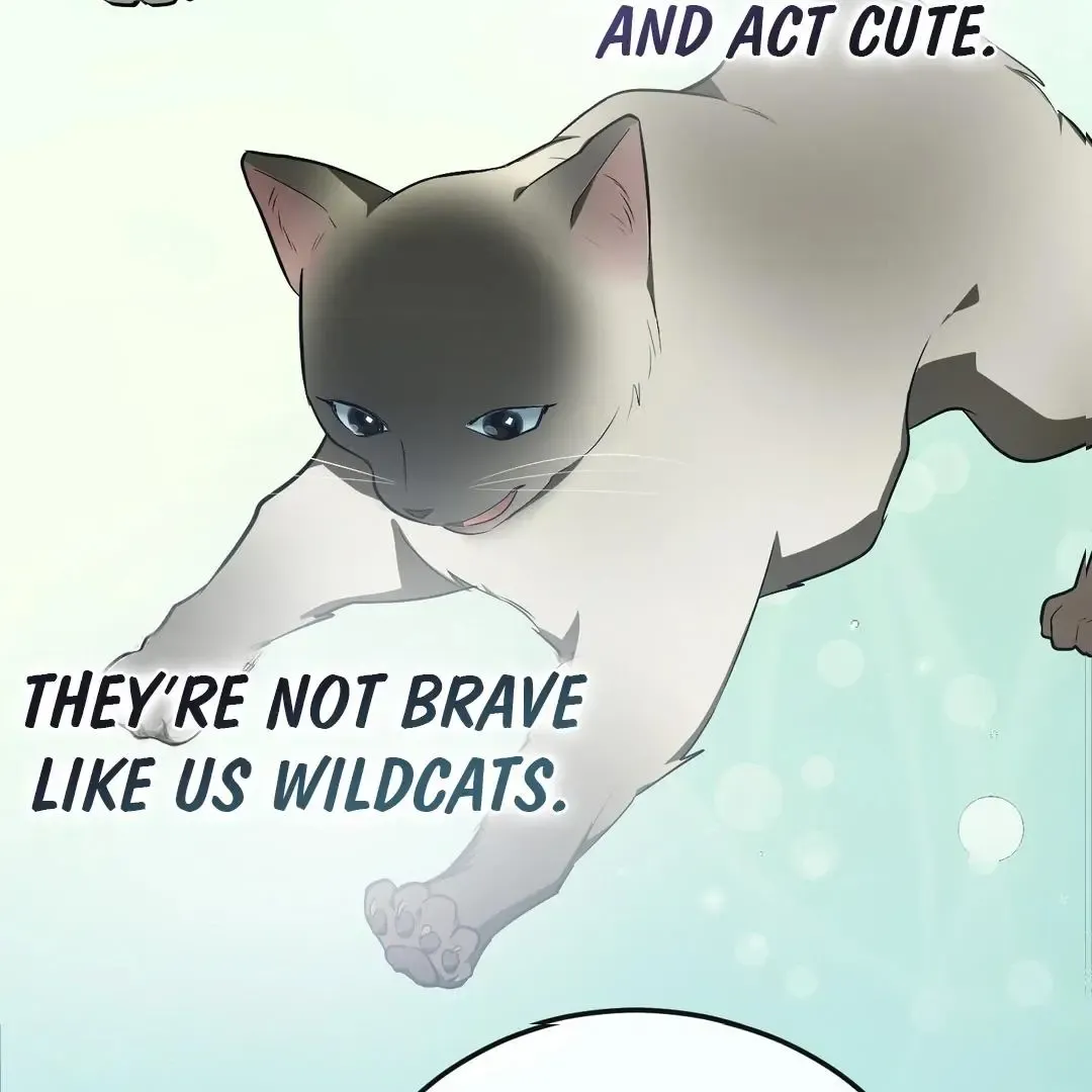Give Birth To A Baby Wildcat For Me, Unless You Want To See Me Go Insane! - Chapter 6 Page 45