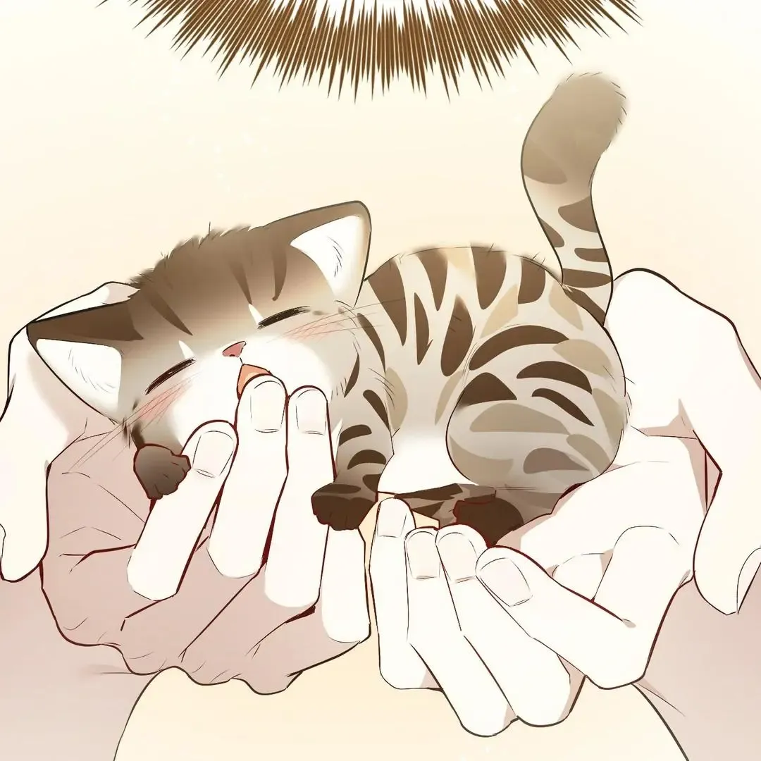 Give Birth To A Baby Wildcat For Me, Unless You Want To See Me Go Insane! - Chapter 6 Page 165