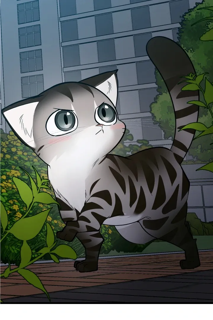 Give Birth To A Baby Wildcat For Me, Unless You Want To See Me Go Insane! - Chapter 8 Page 40