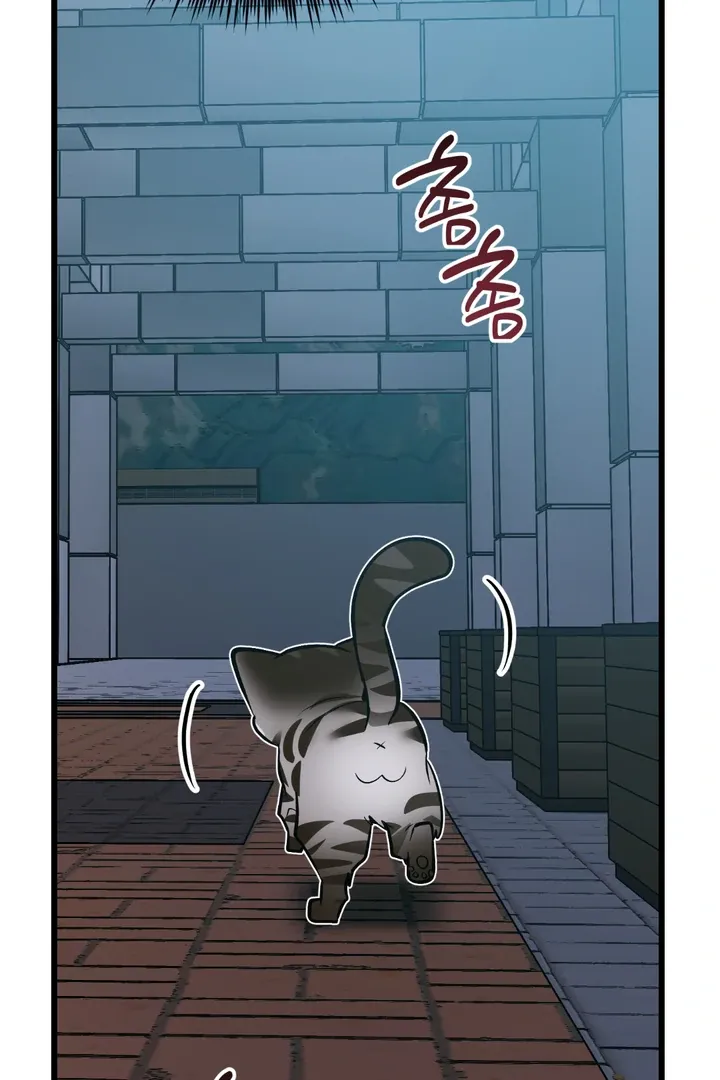 Give Birth To A Baby Wildcat For Me, Unless You Want To See Me Go Insane! - Chapter 8 Page 42