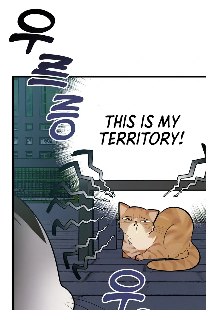 Give Birth To A Baby Wildcat For Me, Unless You Want To See Me Go Insane! - Chapter 8 Page 46