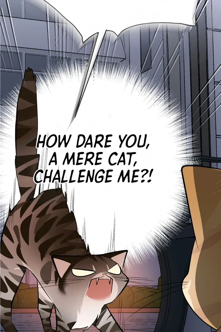 Give Birth To A Baby Wildcat For Me, Unless You Want To See Me Go Insane! - Chapter 8 Page 50