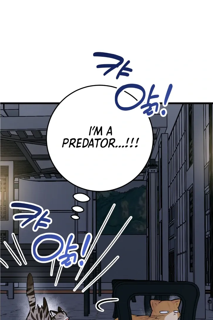 Give Birth To A Baby Wildcat For Me, Unless You Want To See Me Go Insane! - Chapter 8 Page 52
