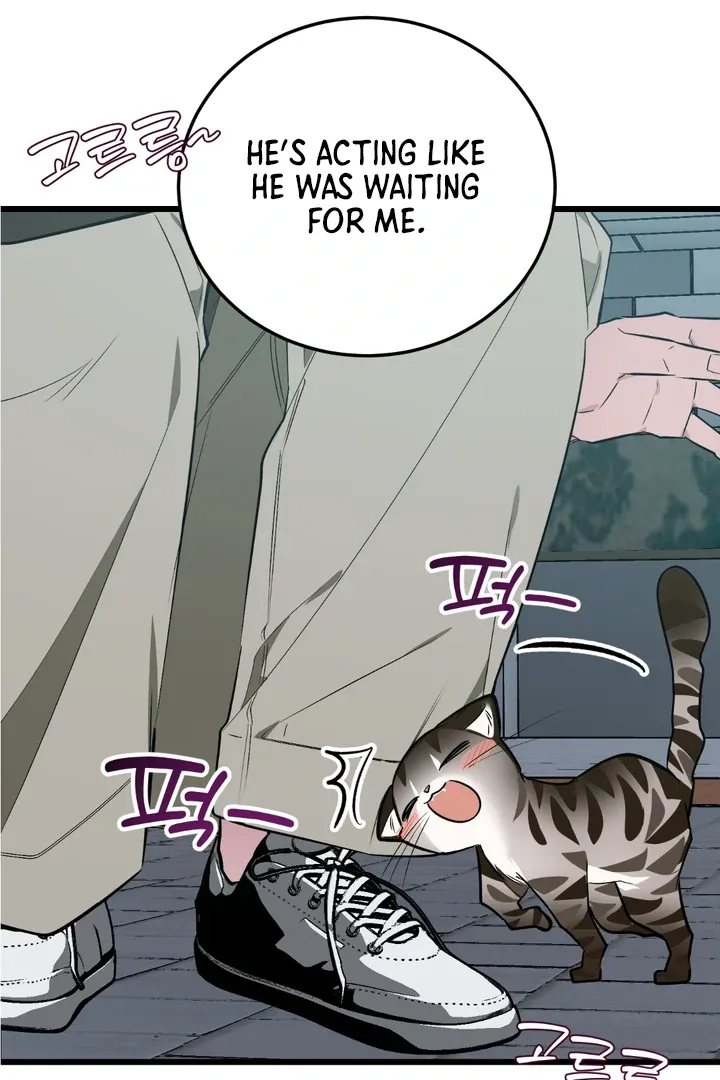 Give Birth To A Baby Wildcat For Me, Unless You Want To See Me Go Insane! - Chapter 8 Page 61