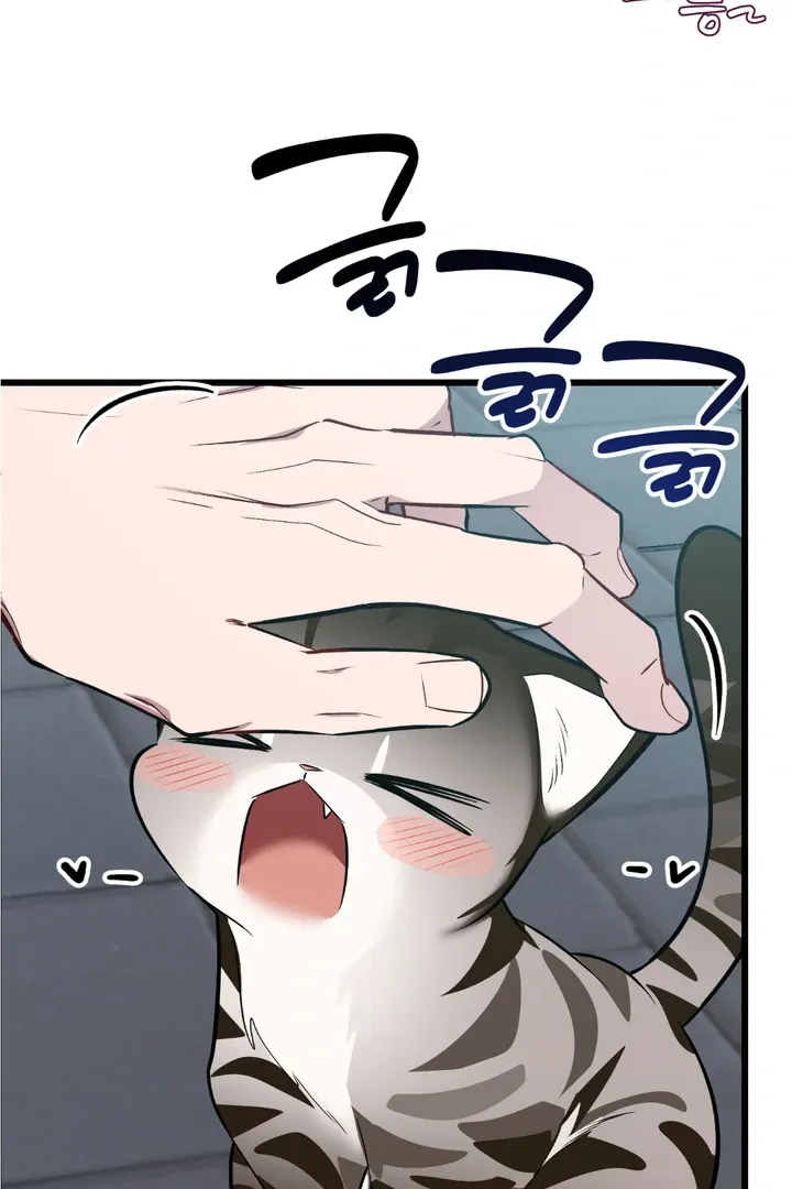 Give Birth To A Baby Wildcat For Me, Unless You Want To See Me Go Insane! - Chapter 8 Page 62