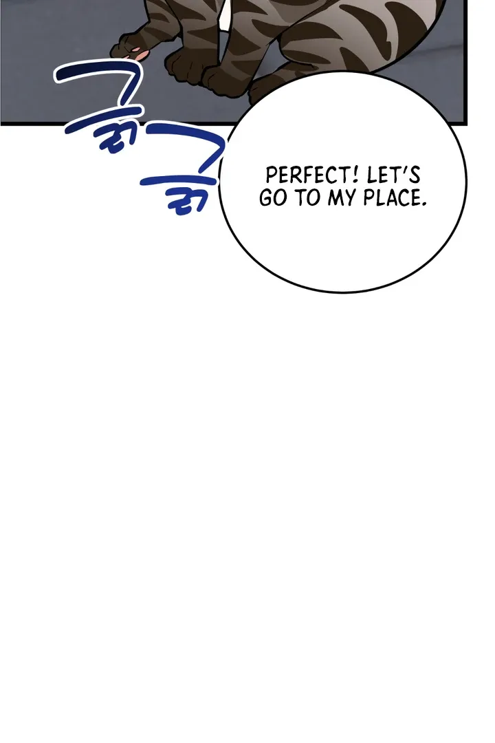 Give Birth To A Baby Wildcat For Me, Unless You Want To See Me Go Insane! - Chapter 8 Page 63