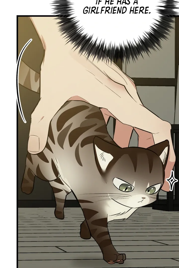 Give Birth To A Baby Wildcat For Me, Unless You Want To See Me Go Insane! - Chapter 8 Page 68