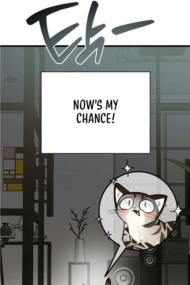 Give Birth To A Baby Wildcat For Me, Unless You Want To See Me Go Insane! - Chapter 8 Page 73