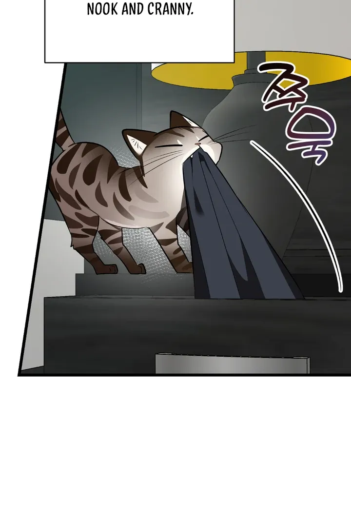 Give Birth To A Baby Wildcat For Me, Unless You Want To See Me Go Insane! - Chapter 8 Page 76