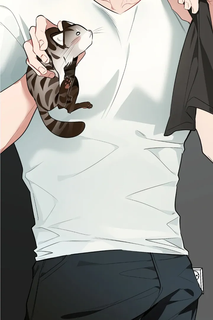 Give Birth To A Baby Wildcat For Me, Unless You Want To See Me Go Insane! - Chapter 8 Page 87