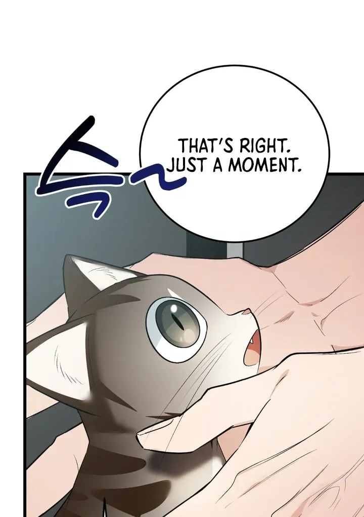 Give Birth To A Baby Wildcat For Me, Unless You Want To See Me Go Insane! - Chapter 8 Page 98