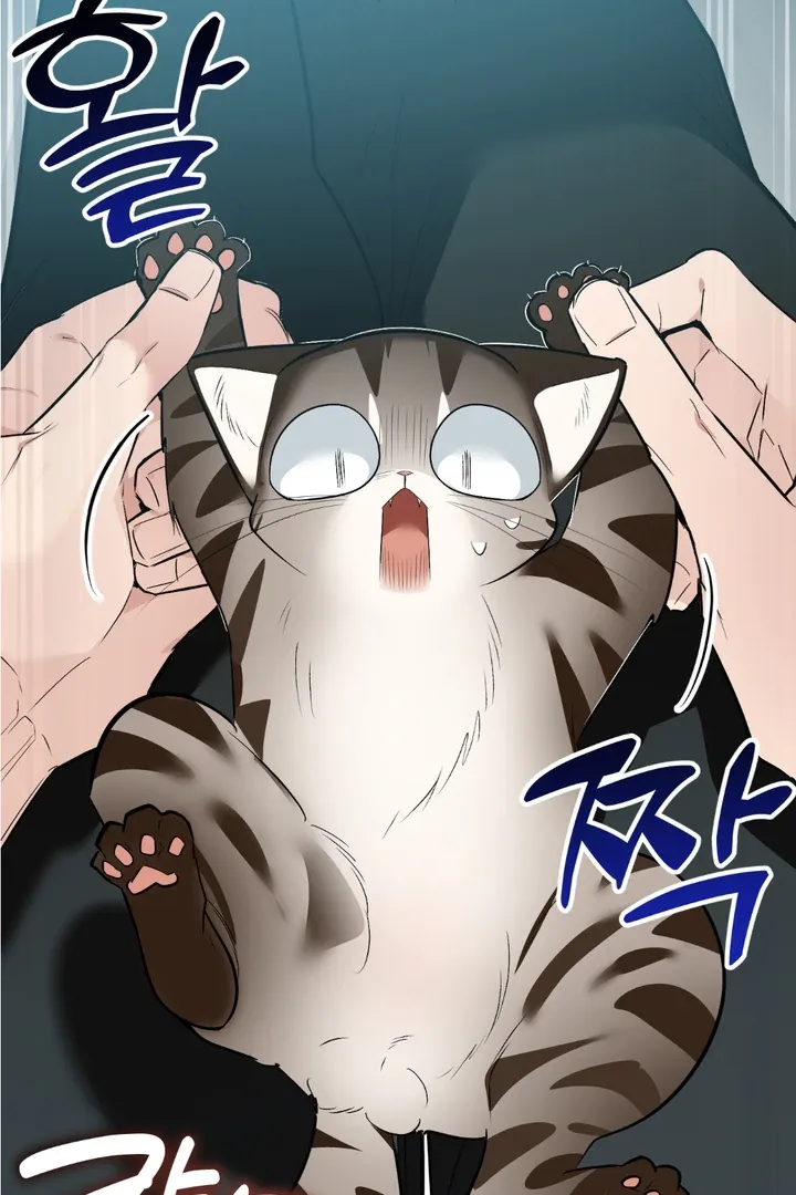 Give Birth To A Baby Wildcat For Me, Unless You Want To See Me Go Insane! - Chapter 8 Page 101