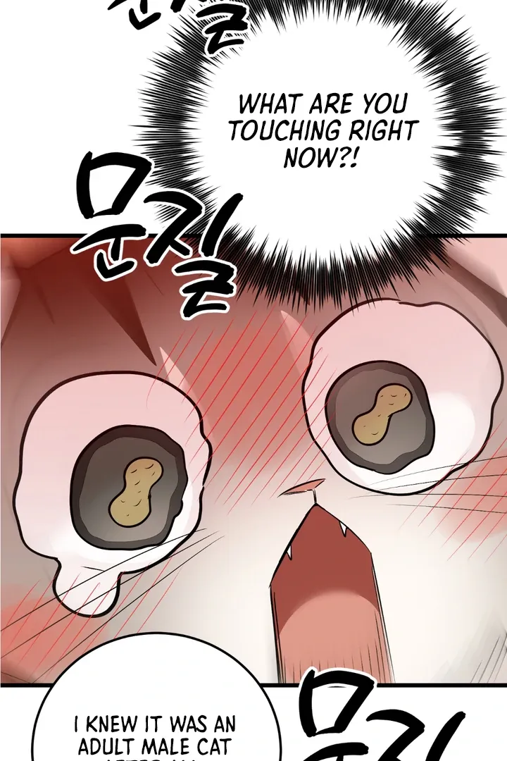 Give Birth To A Baby Wildcat For Me, Unless You Want To See Me Go Insane! - Chapter 8 Page 105