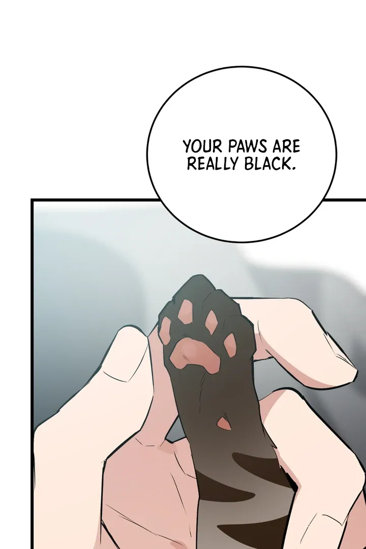 Give Birth To A Baby Wildcat For Me, Unless You Want To See Me Go Insane! - Chapter 8 Page 124
