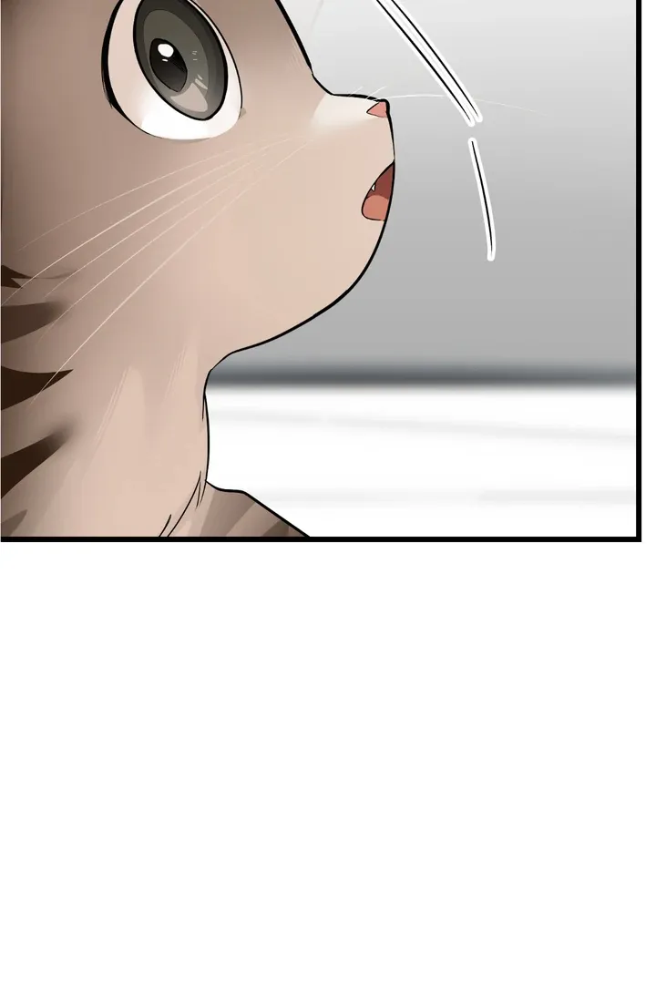Give Birth To A Baby Wildcat For Me, Unless You Want To See Me Go Insane! - Chapter 8 Page 133