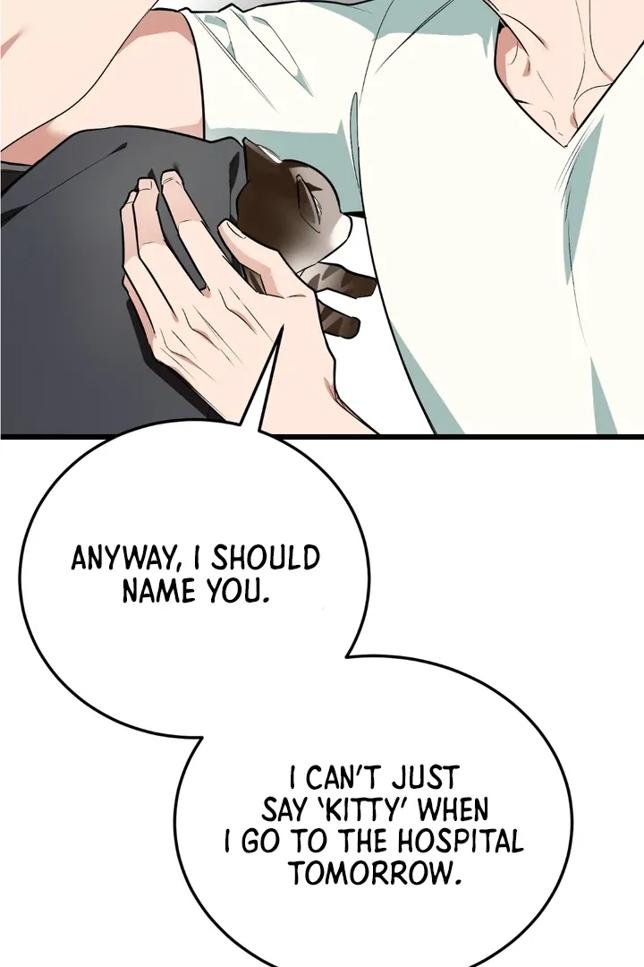 Give Birth To A Baby Wildcat For Me, Unless You Want To See Me Go Insane! - Chapter 8 Page 135
