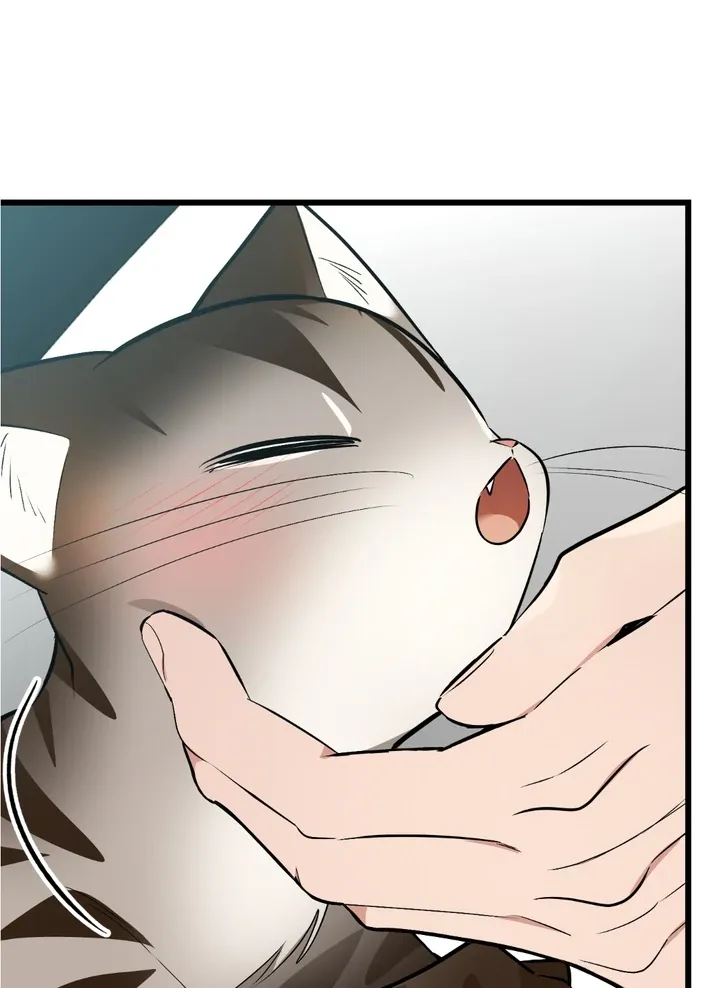Give Birth To A Baby Wildcat For Me, Unless You Want To See Me Go Insane! - Chapter 8 Page 139