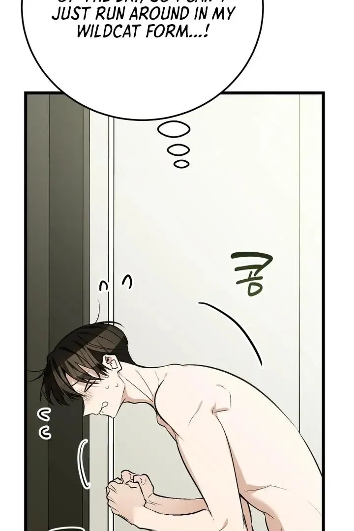 Give Birth To A Baby Wildcat For Me, Unless You Want To See Me Go Insane! - Chapter 9 Page 23
