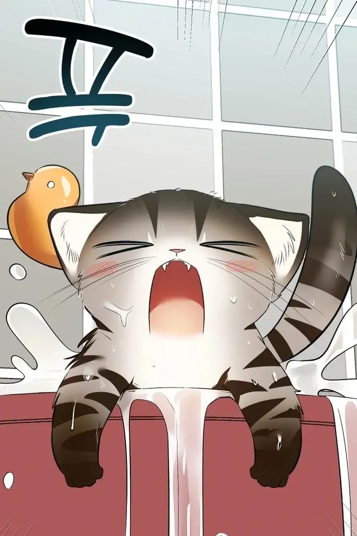 Give Birth To A Baby Wildcat For Me, Unless You Want To See Me Go Insane! - Chapter 9 Page 79