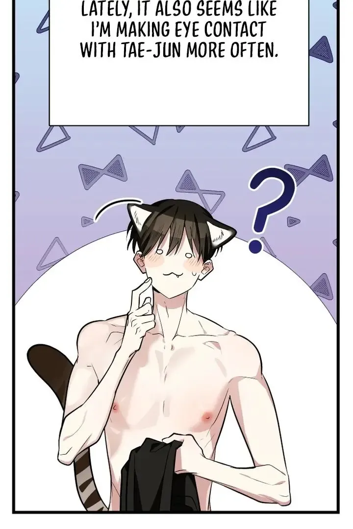 Give Birth To A Baby Wildcat For Me, Unless You Want To See Me Go Insane! - Chapter 9 Page 97