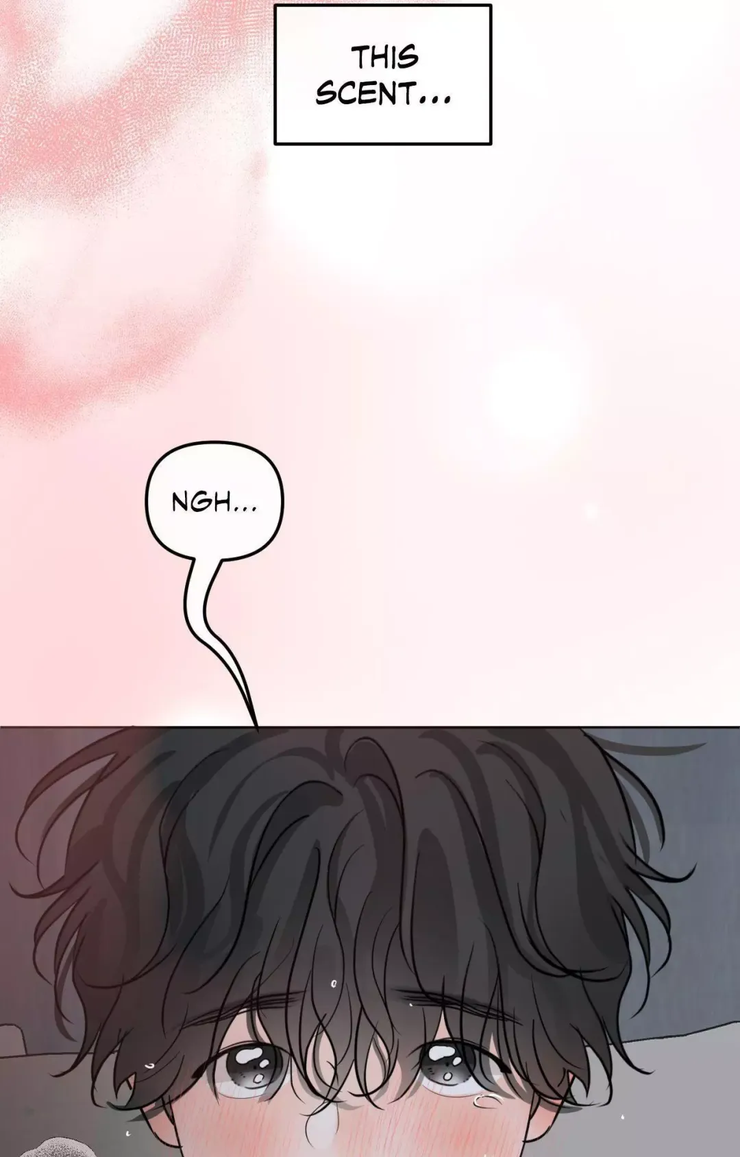 Scent and Sensibility - Chapter 76 Page 66