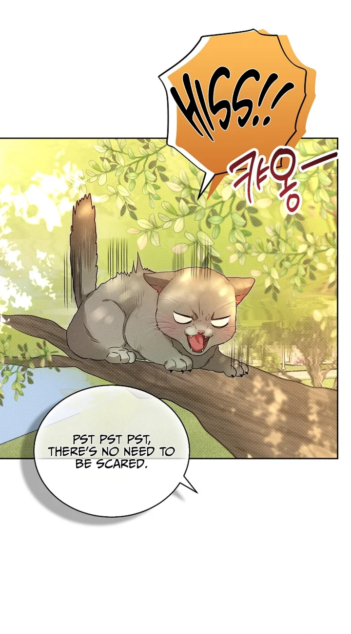 Desire Me if You Can - Chapter 14 Page 42