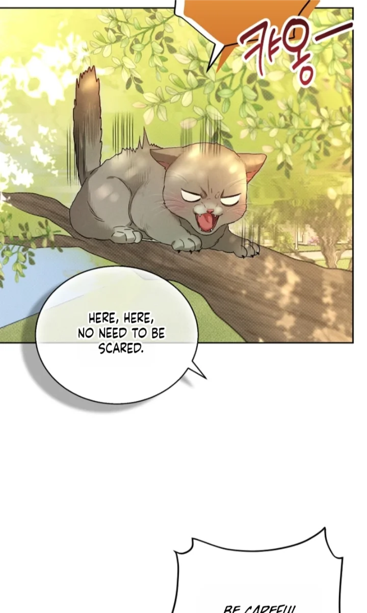Desire Me if You Can - Chapter 15 Page 36