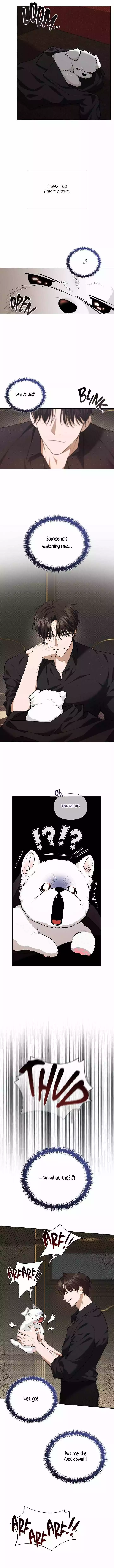 Don’t Mess With The Puppy! - Chapter 1 Page 14
