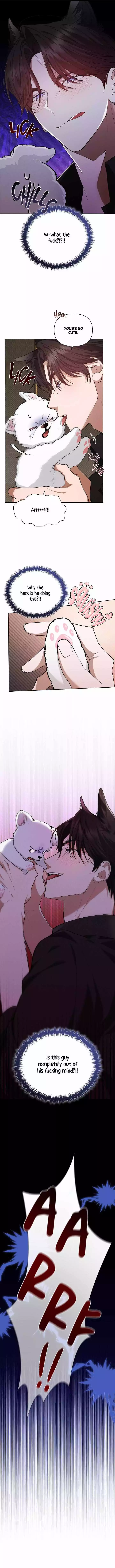 Don’t Mess With The Puppy! - Chapter 1 Page 15