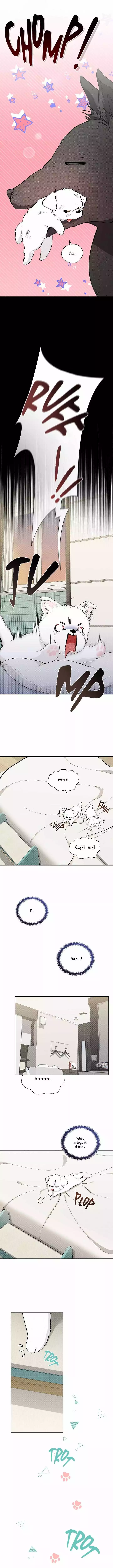 Don’t Mess With The Puppy! - Chapter 1 Page 5