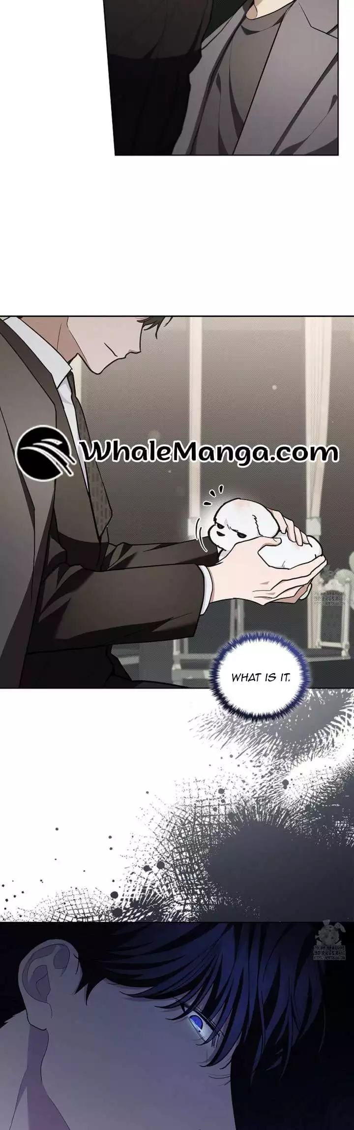 Don’t Mess With The Puppy! - Chapter 11 Page 20