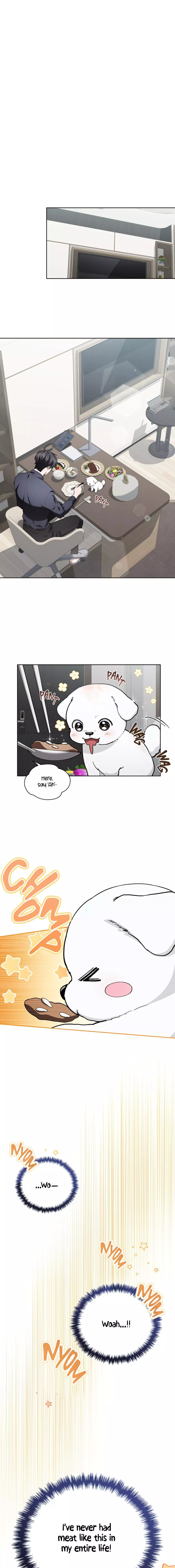 Don’t Mess With The Puppy! - Chapter 12 Page 12