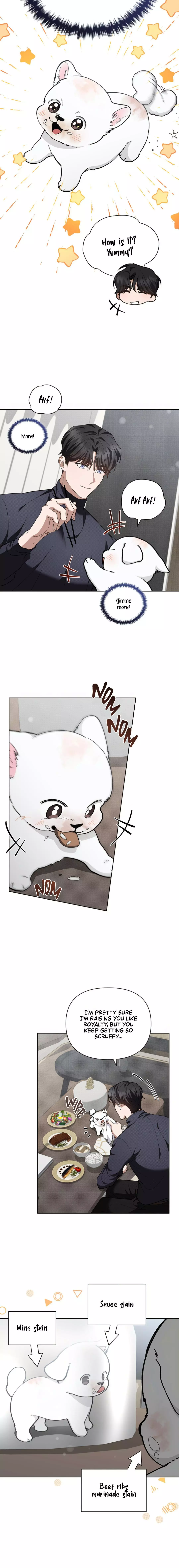 Don’t Mess With The Puppy! - Chapter 12 Page 13
