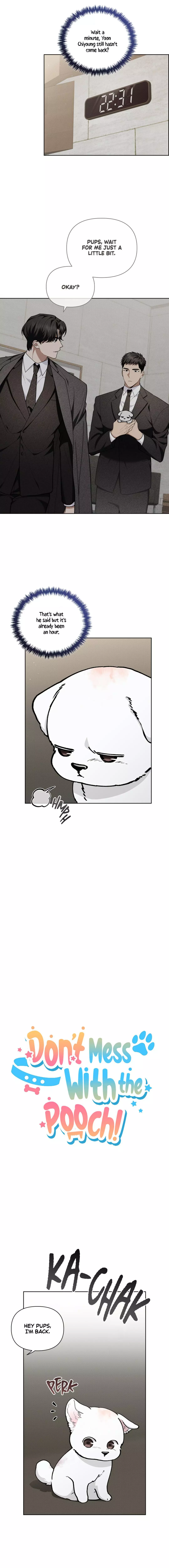 Don’t Mess With The Puppy! - Chapter 12 Page 4