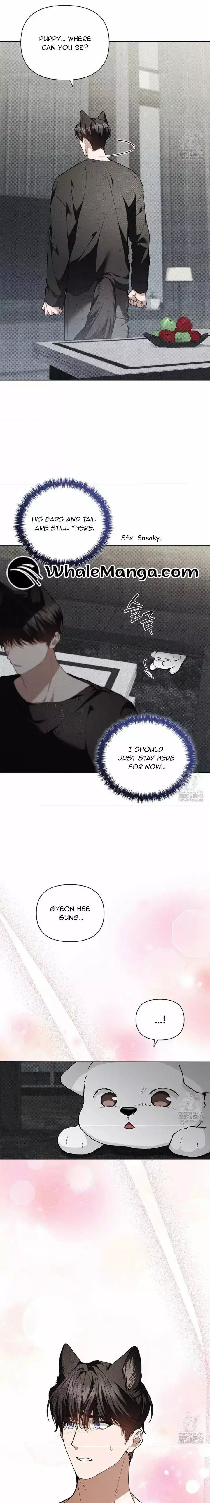 Don’t Mess With The Puppy! - Chapter 19 Page 13
