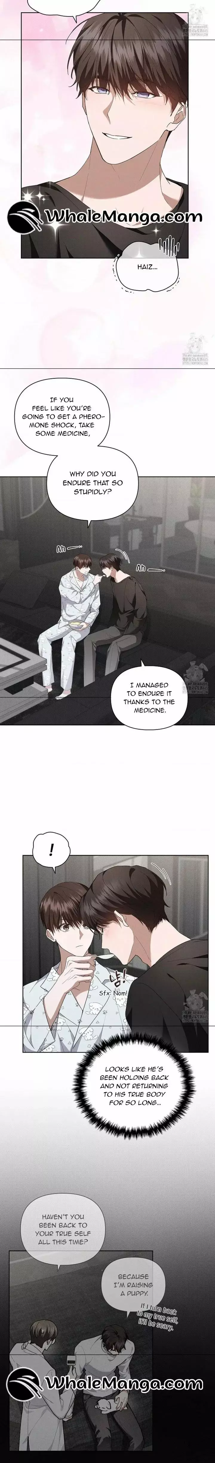 Don’t Mess With The Puppy! - Chapter 19 Page 20