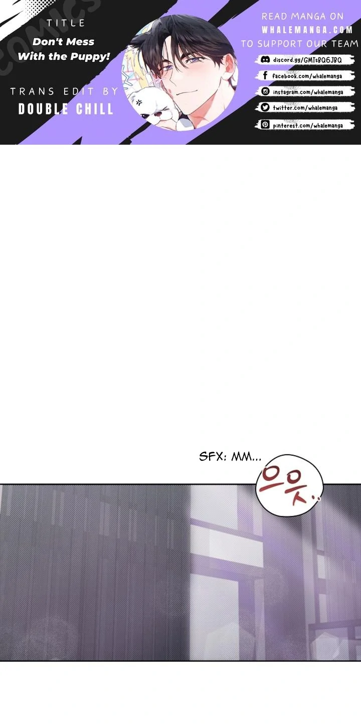 Don’t Mess With The Puppy! - Chapter 26 Page 1