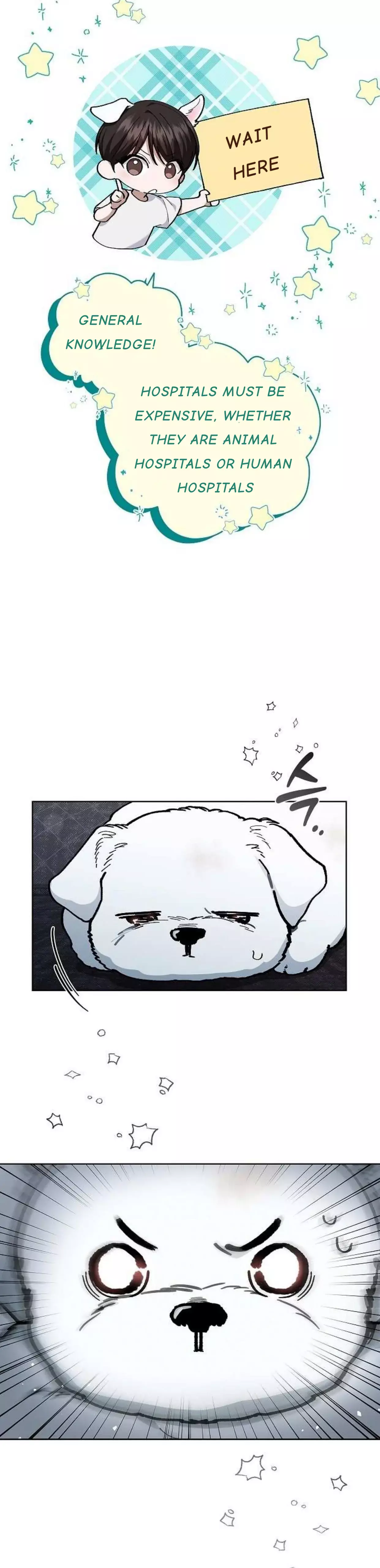 Don’t Mess With The Puppy! - Chapter 3 Page 34