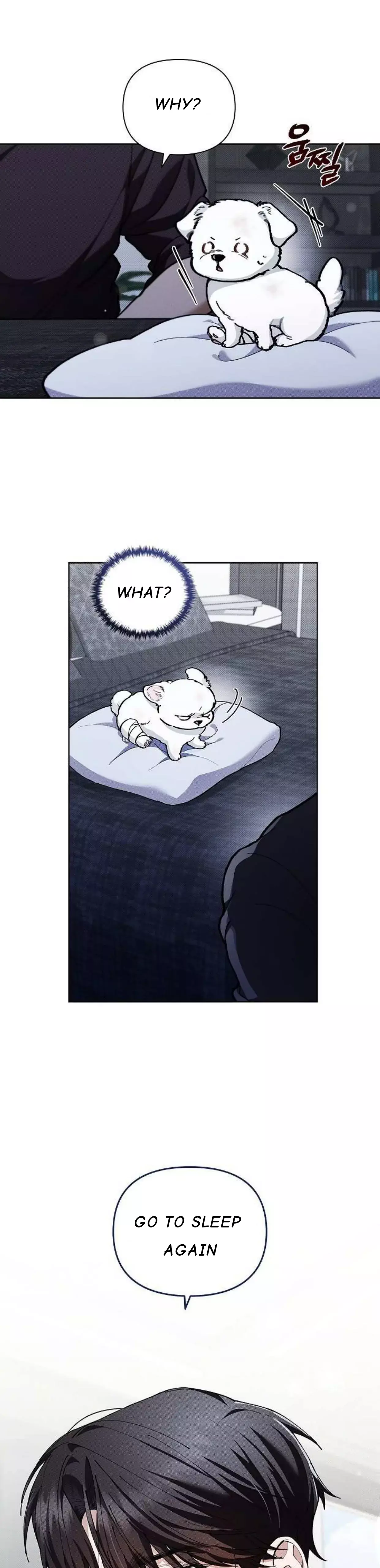 Don’t Mess With The Puppy! - Chapter 3 Page 37