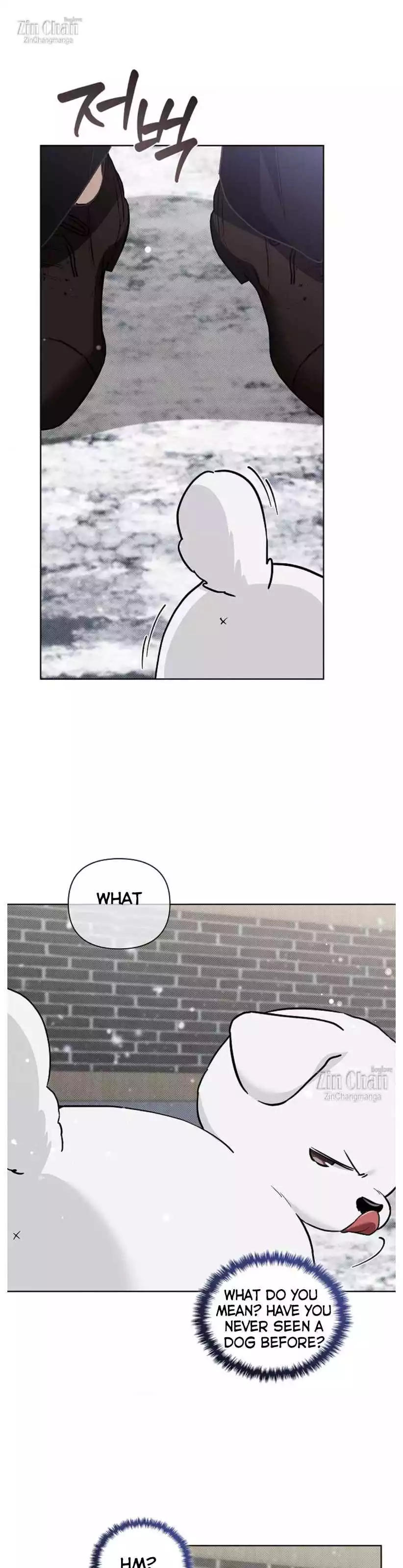 Don’t Mess With The Puppy! - Chapter 35 Page 36