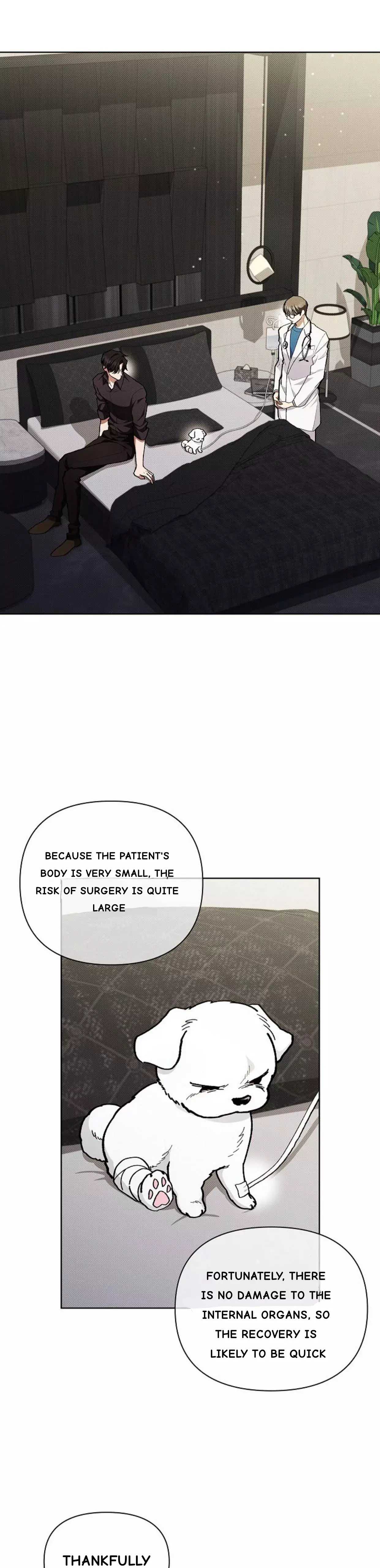 Don’t Mess With The Puppy! - Chapter 4 Page 1
